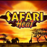 Safari Heat logo