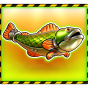 Fish image