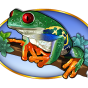 Frog image
