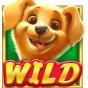 Wild image