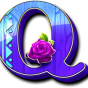 Q image