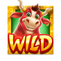 Wild image