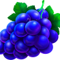 Grape image