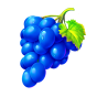 Grapes image