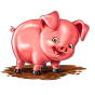 Pig image