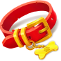 Collar image