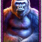 Gorilla image