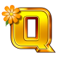 Q image