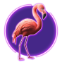 Flamingo image