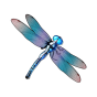 Dragonfly image
