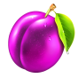 Plum image