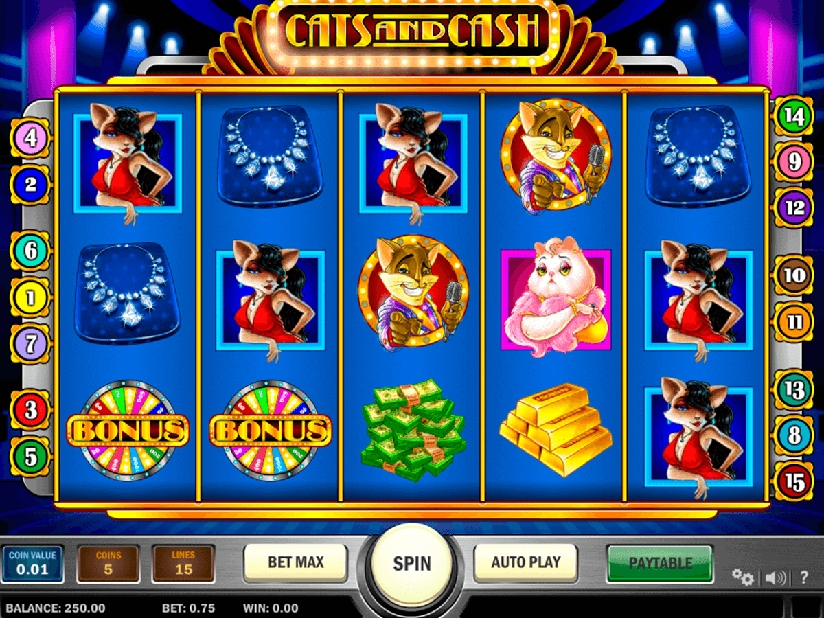 cats and cash playn go machine a sous