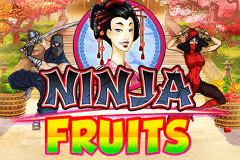 Logo ninja fruits playn go jeu casino 