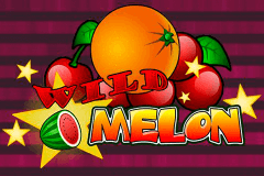 Logo wild melon playn go jeu casino 