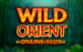 Logo wild orient microgaming jeu casino 