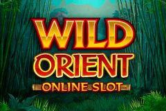 Logo wild orient microgaming jeu casino 