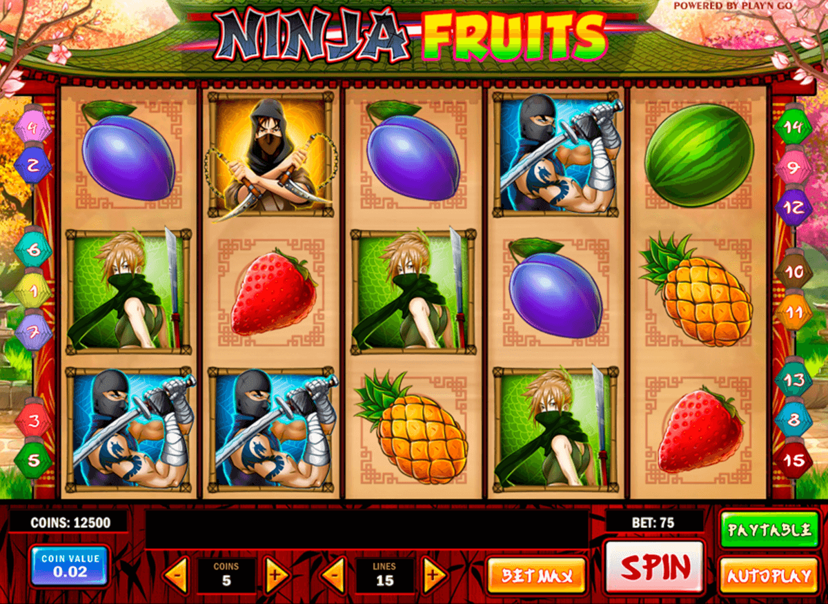 ninja fruits playn go machine a sous