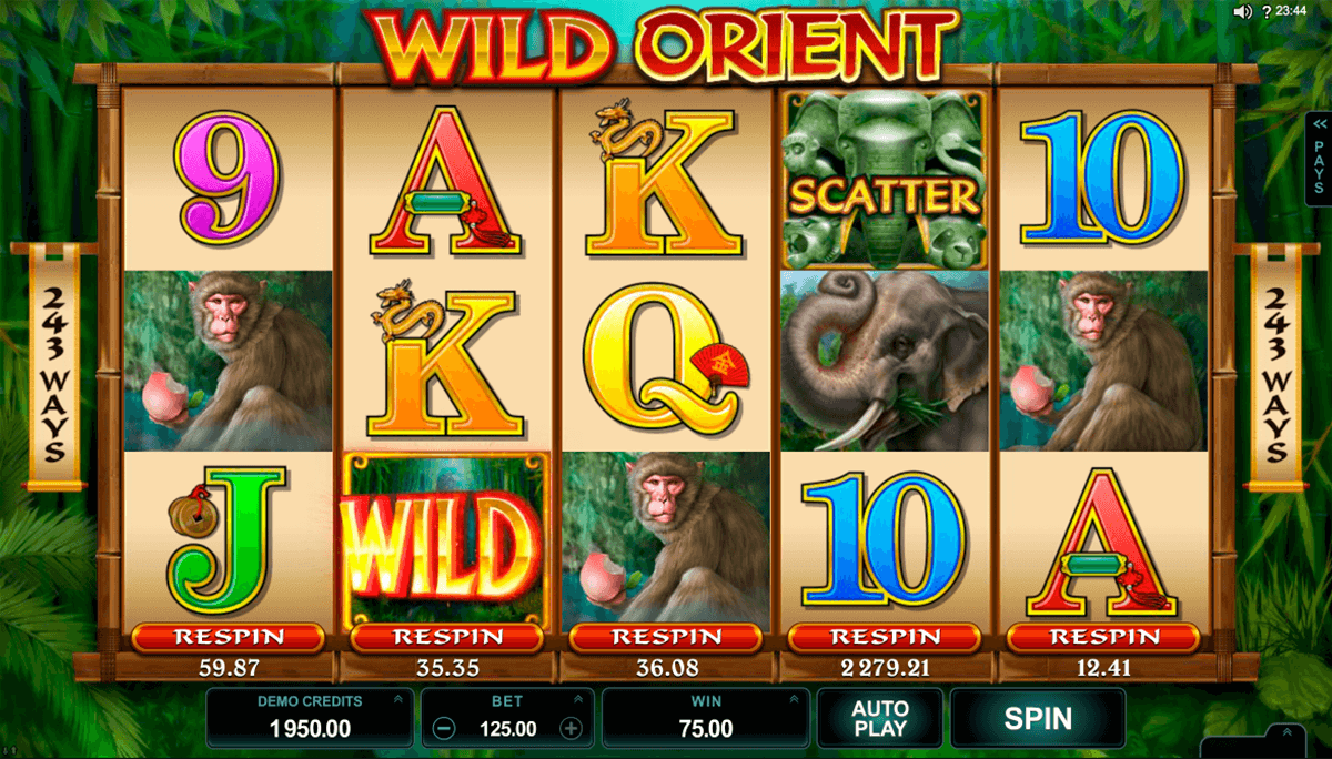 wild orient microgaming machine a sous 