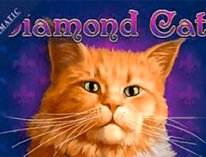 Logo diamond cats amatic 