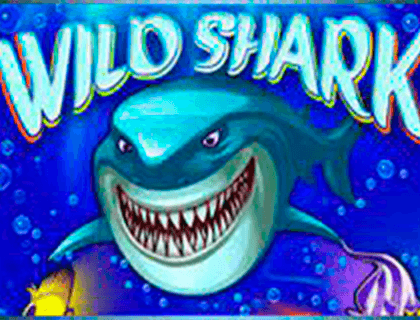 Logo wild shark amatic 