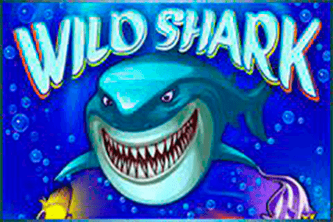 Logo wild shark amatic 