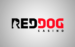 Red dog casino 